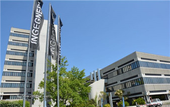 馬爾凱理工大學