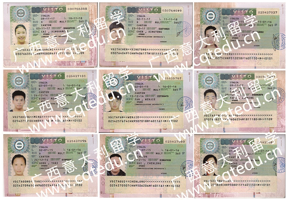 往年簽證成功案例十