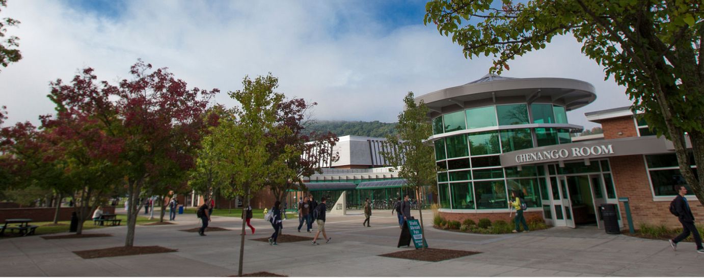 美國賓漢姆頓大學(xué)